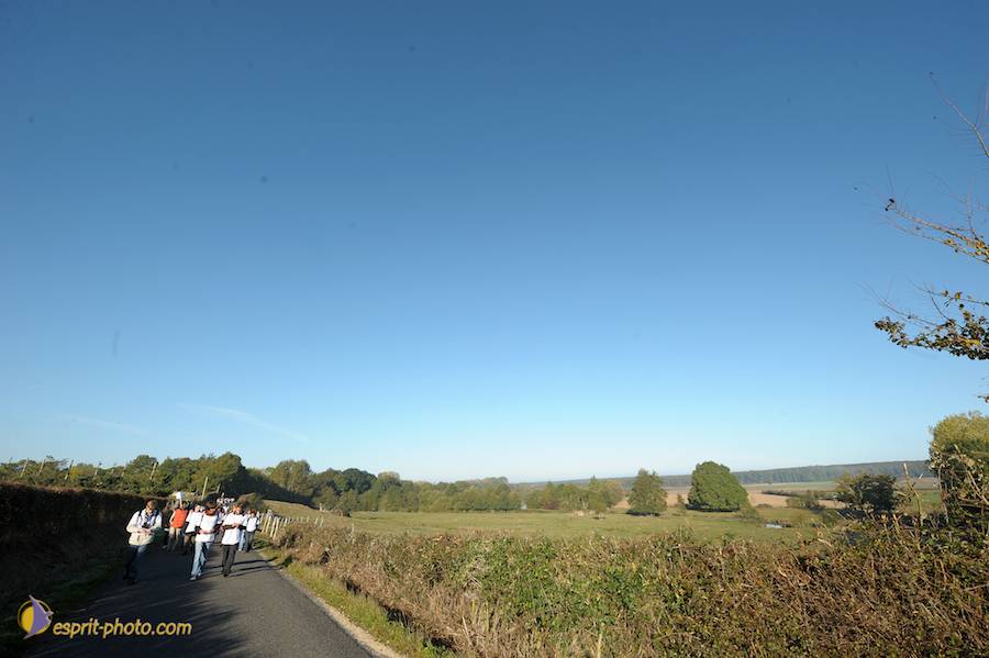 Nom de l'image : D30083023_1_(c)Norbert-JUNG — Description :